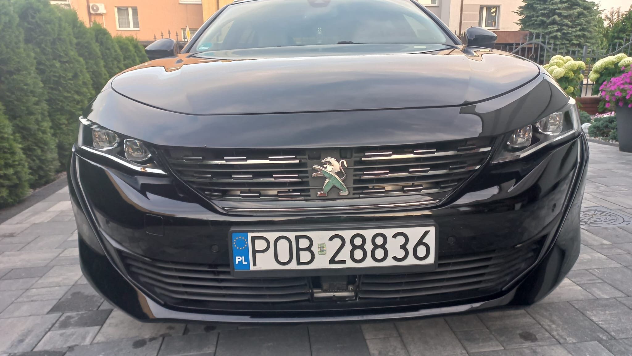 Peugeot 508 Peugeot 508 2019