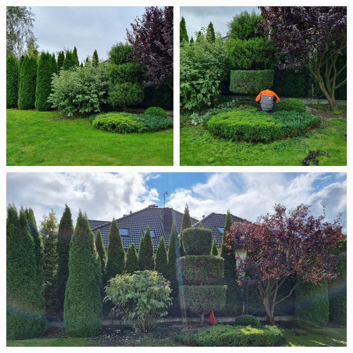 Cięcie przycinanie wycinka drzew Pabianice Łódź Aleksandrów Ksawerów