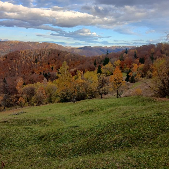 Продам земельну ділянку
