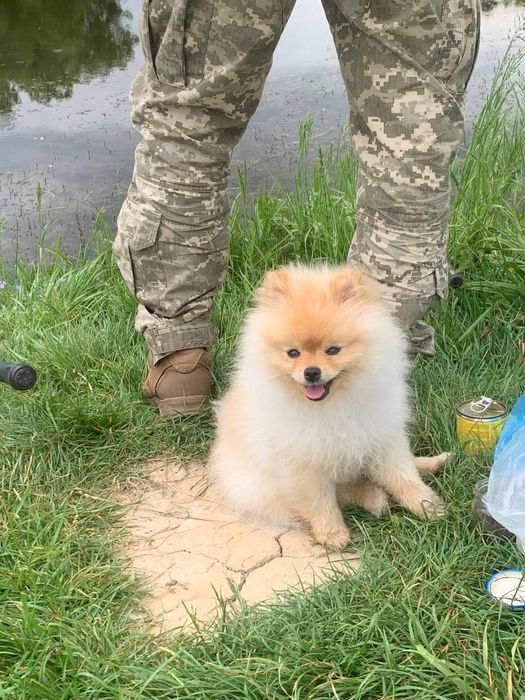 В'язка, Тедді готовий для побачень із дівчатками