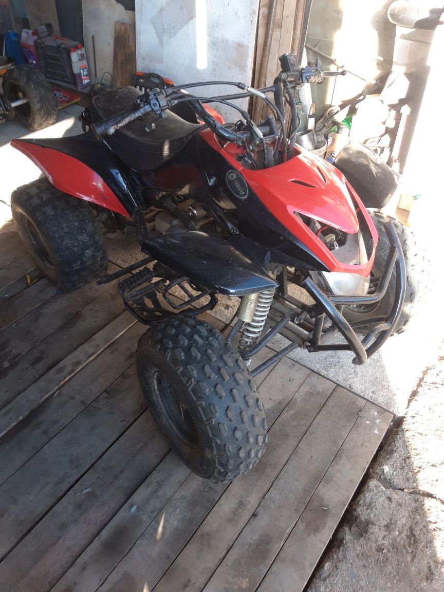 Quad 110 1+ wsteczny