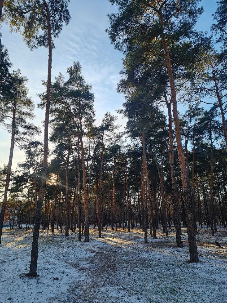 Двокімнатна квартира Новий Автограф з видом на парк