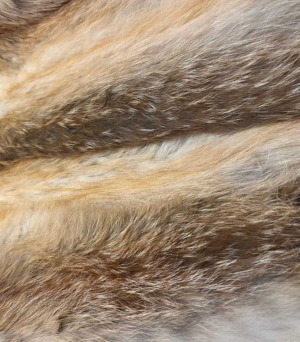 Casaco de Pele Raposa