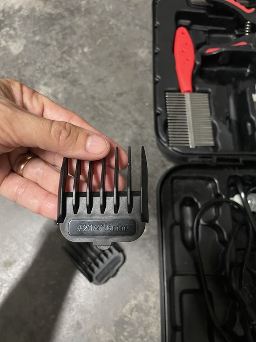 Tosquiadora cão zoofari