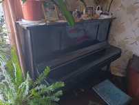Pianino wolkenhauer stettin