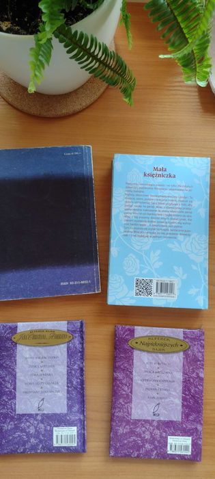 Książki dla dzieci i młodzieży