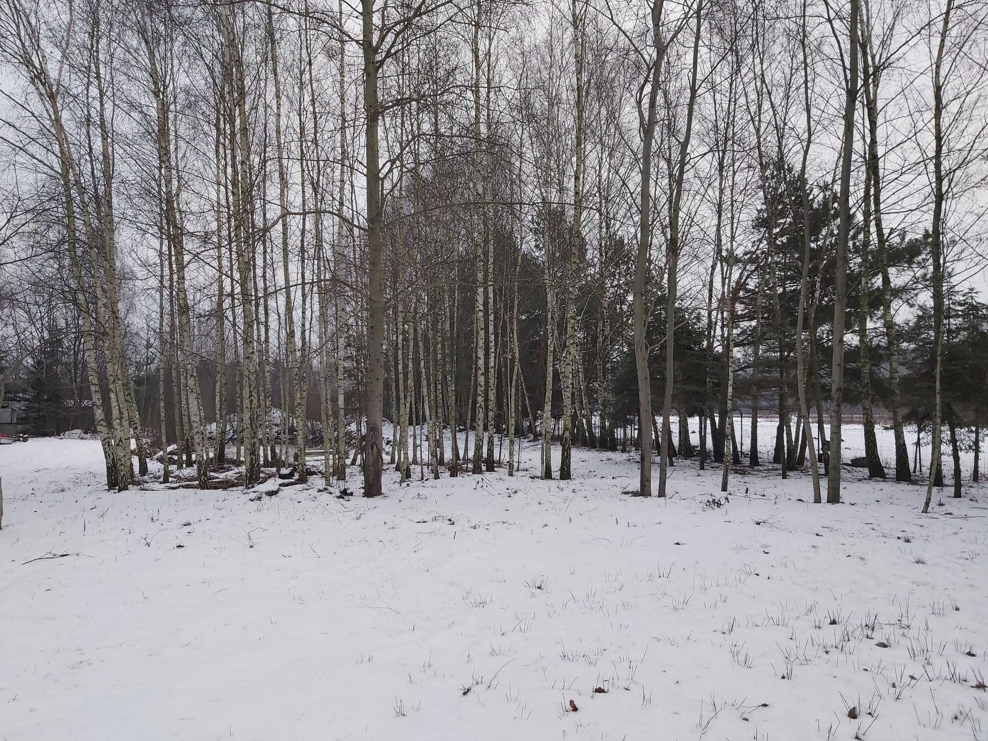 Działka inwestycyjno - budowlana, Grodzisk Mazowiecki, Kozerki