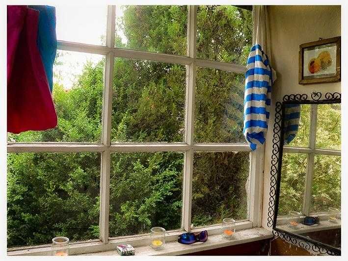 Działka ROD Gdynia Mały Kack ul. Przemyska