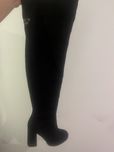 Zamszowe, wysokie buty koty
