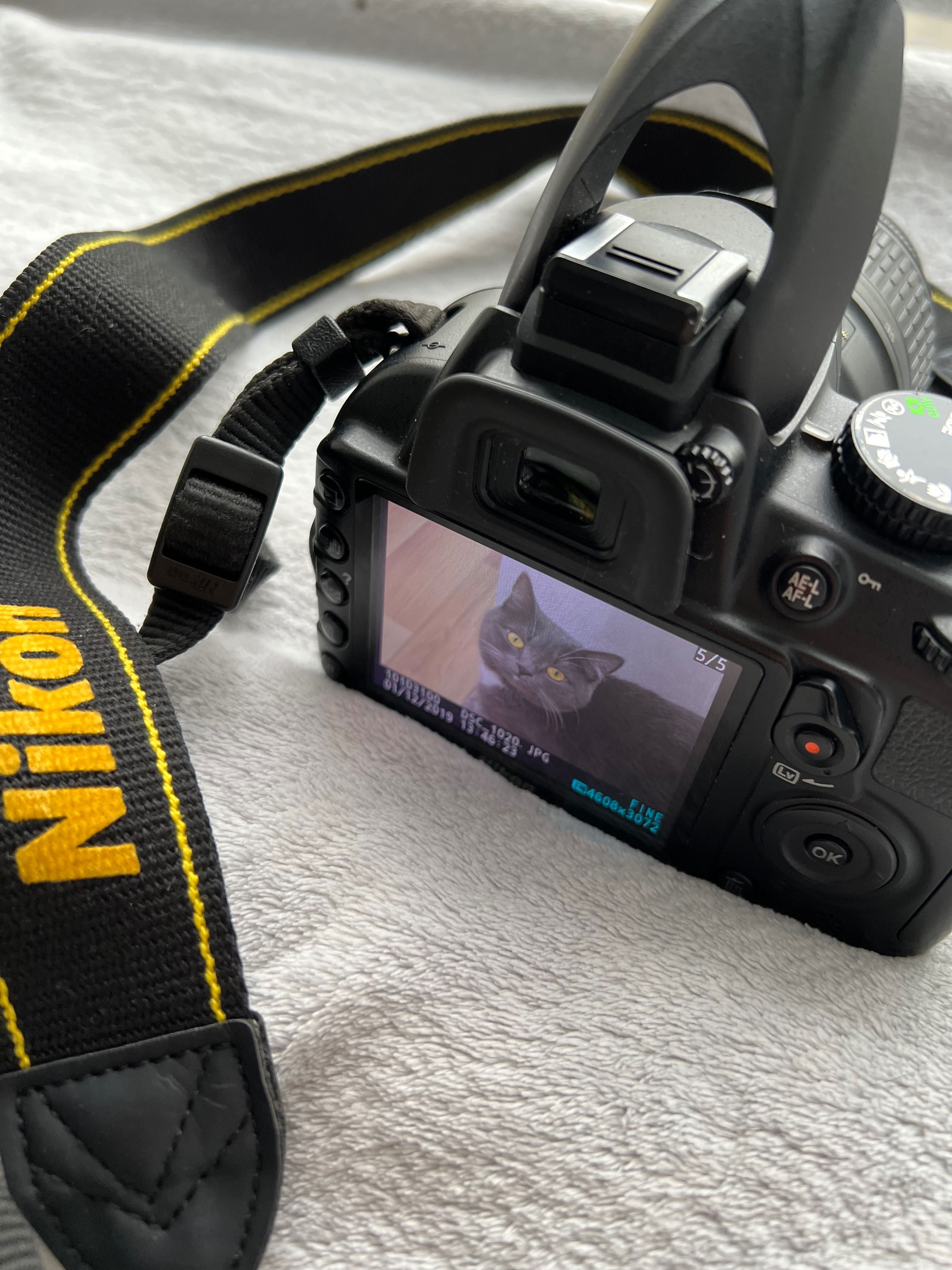 Дзеркальний фотоапарат nikon d3100 kit 18-55mm