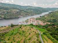 Terreno com vista para o Rio Douro, Caldas Aregos, Viseu
