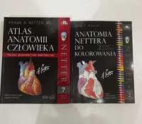 Atlas Nettera + kolorowanka Nettera GRATIS  (polskie mianownictwo)
