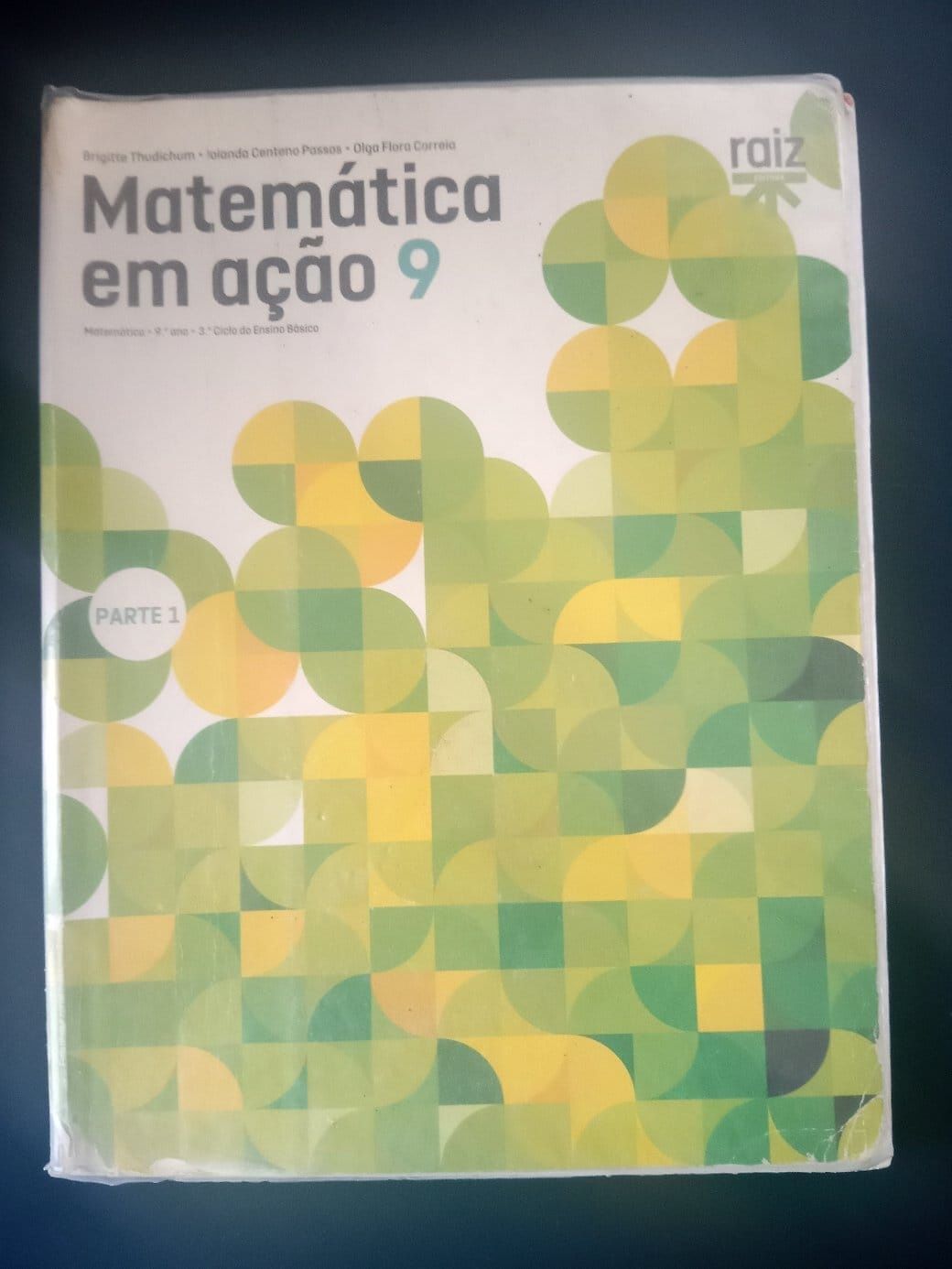 Matematica em ação 9°ano