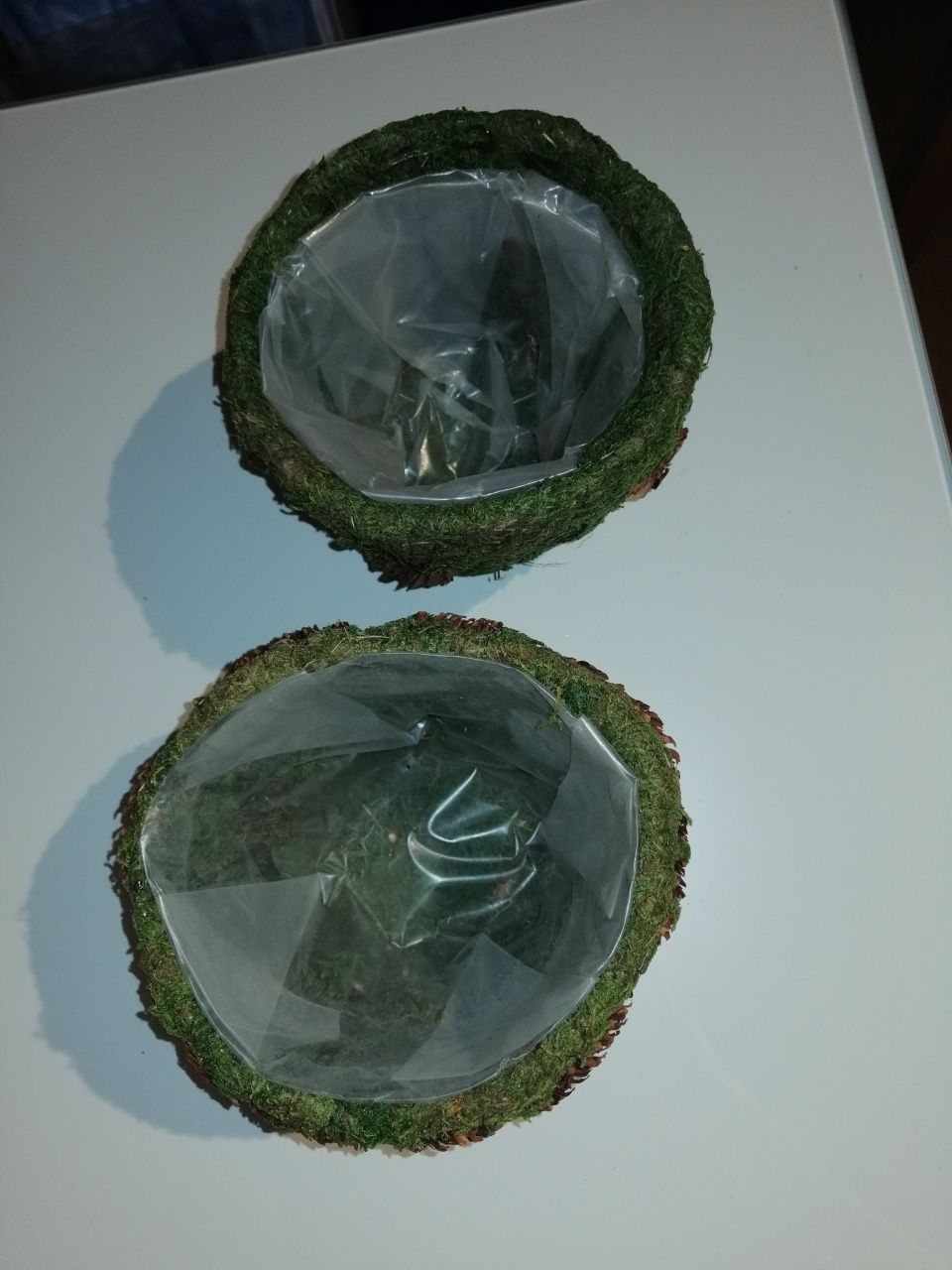 2 vasos natureza + Caixa musgo