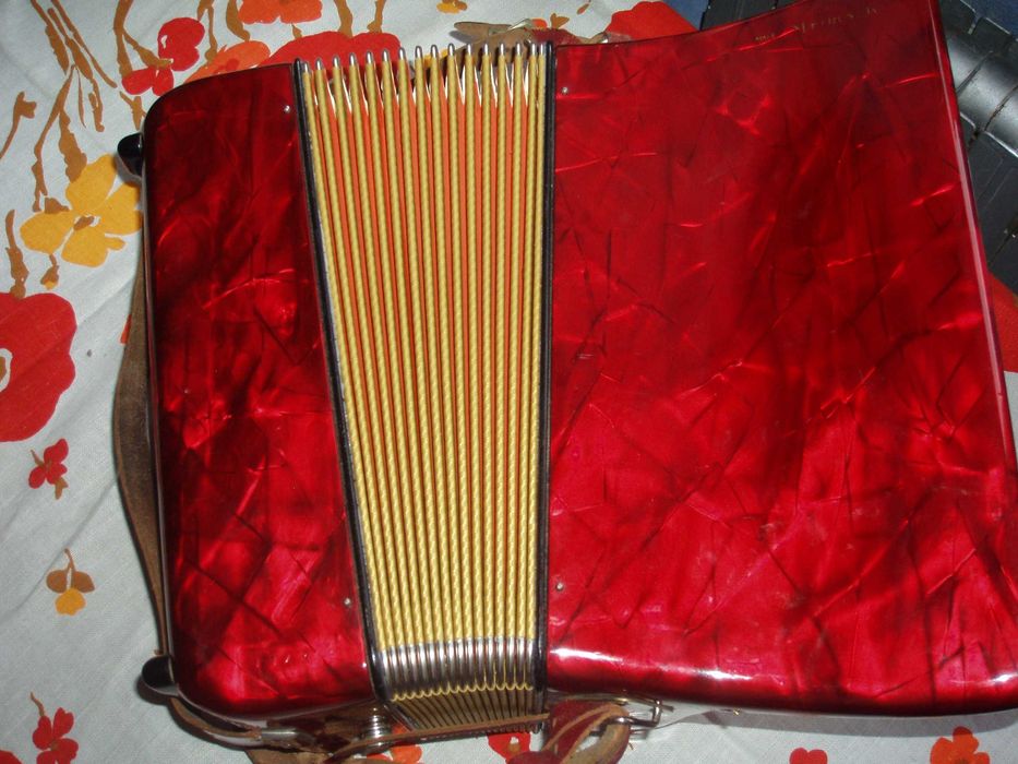 Akordeon Hohner Student 40b