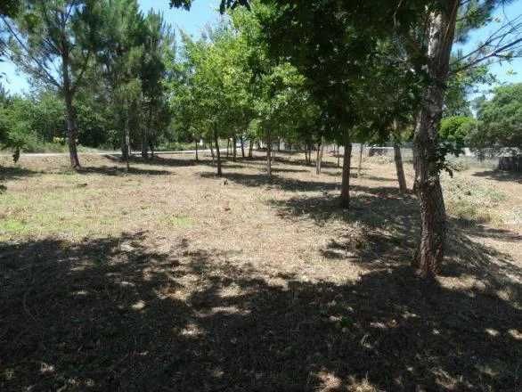 Terreno em Carvalhal Redondo com 1679m²