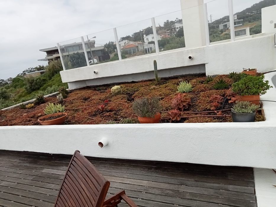 Construção e Manutenção de jardins