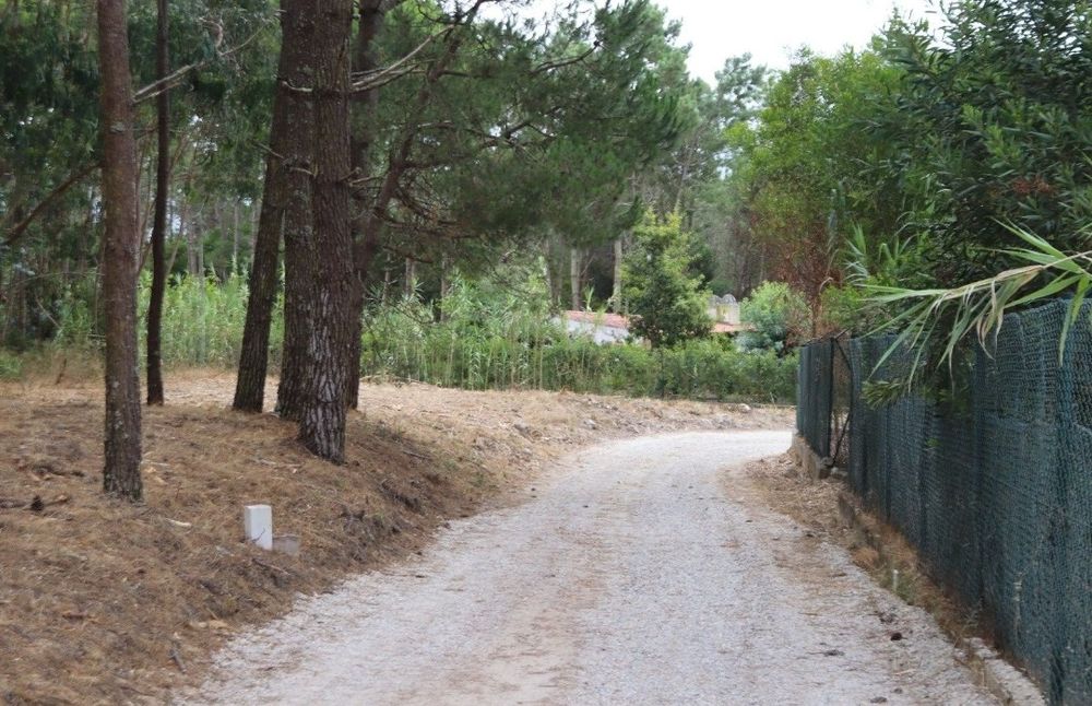 Arrendo terreno em Janas