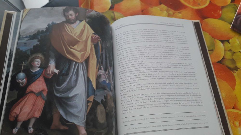 12 volumes :Santos de Todos  os Dias