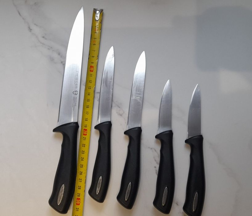 Zestaw noży kuchennych Zwieger w bloku