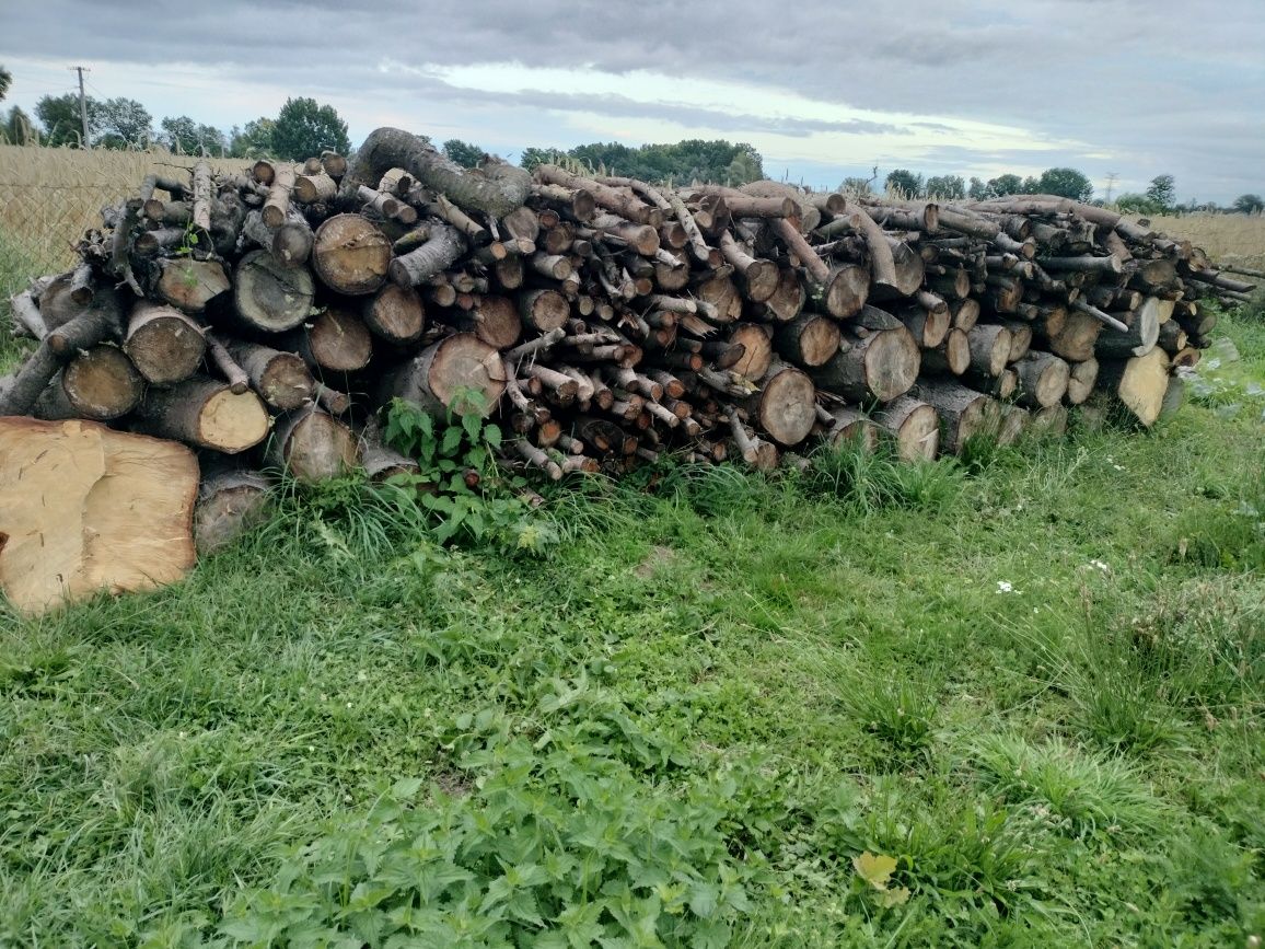 Sprzedam Drewno opałowe