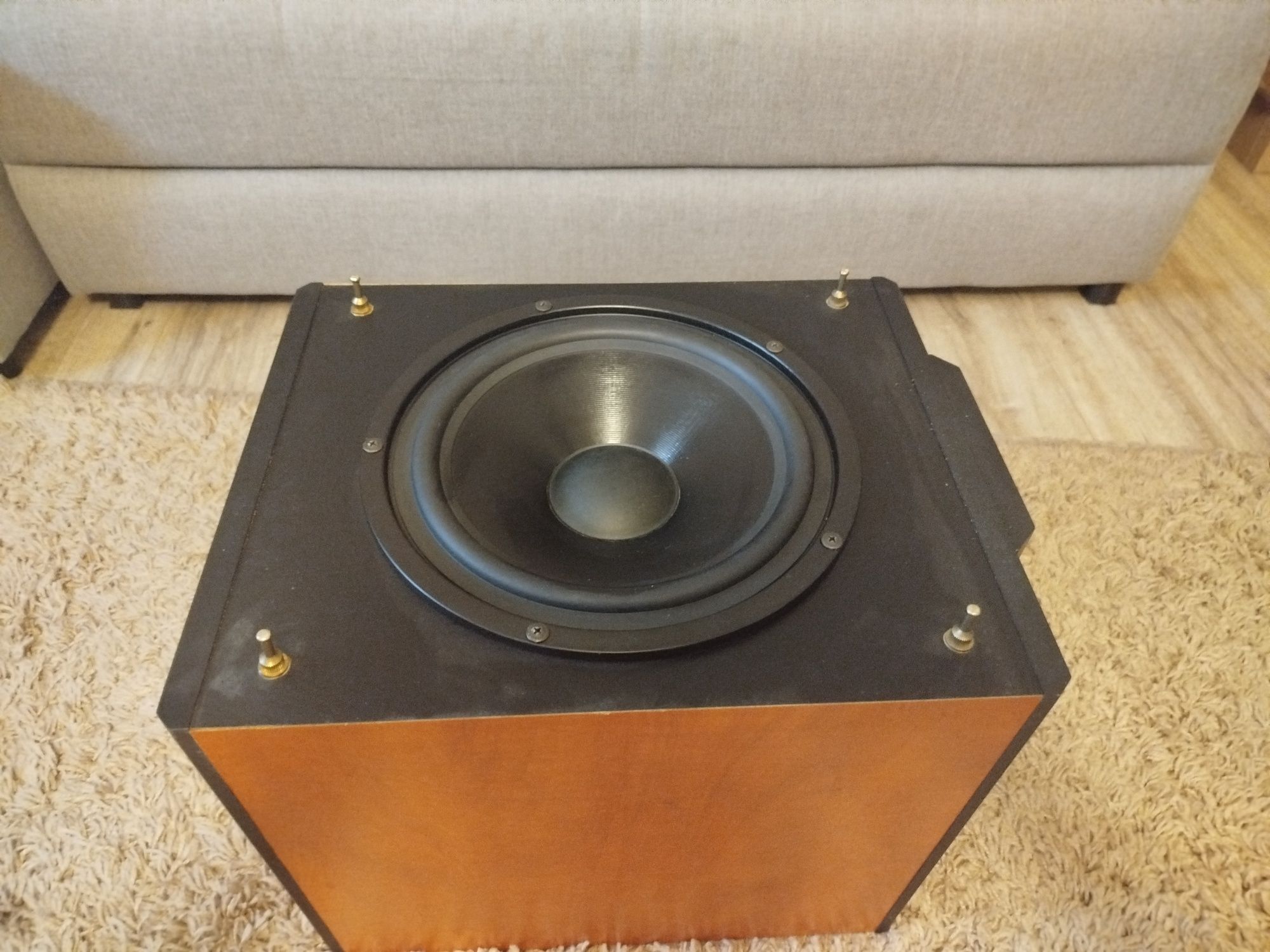 Subwoofer STX model A10  150W
