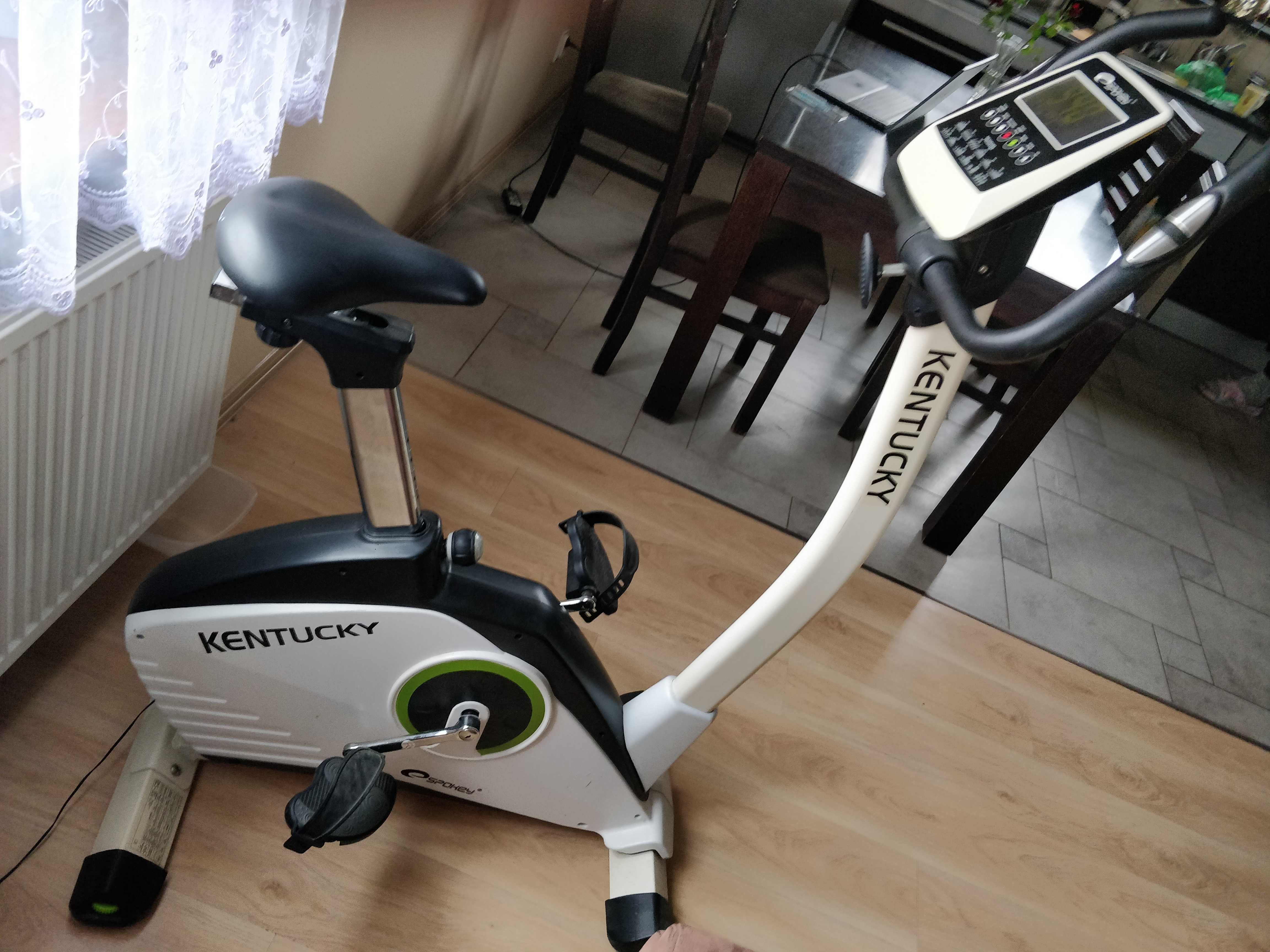 Rower stacjonarny magnetyczny Kentucky