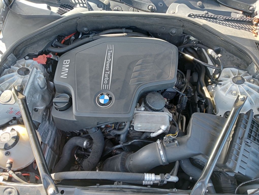 BMW F10 528i Biała, Jasne skóry