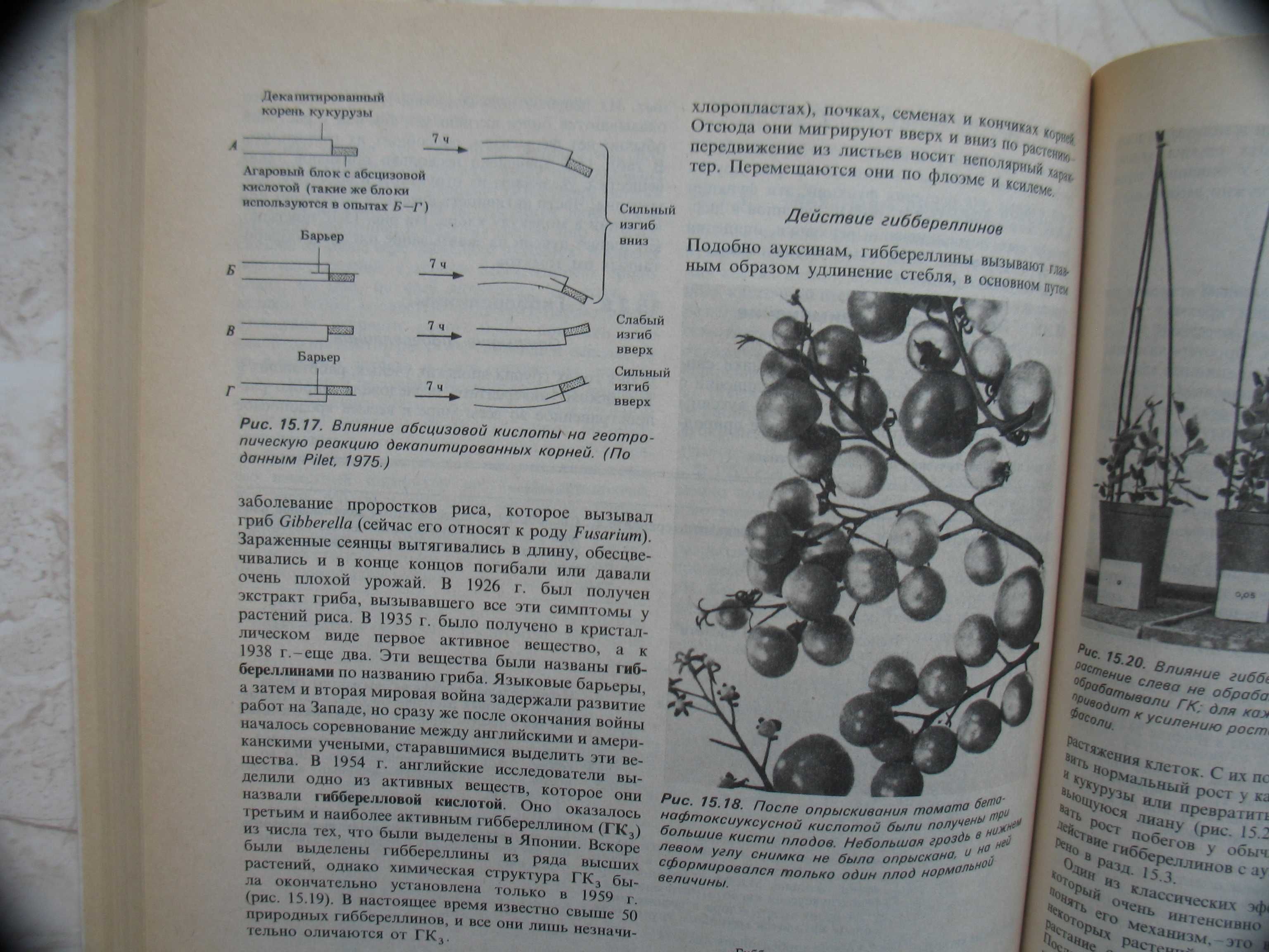 "Биология" в трех томах, Грин, Стаут, Тейлор, 1996 год