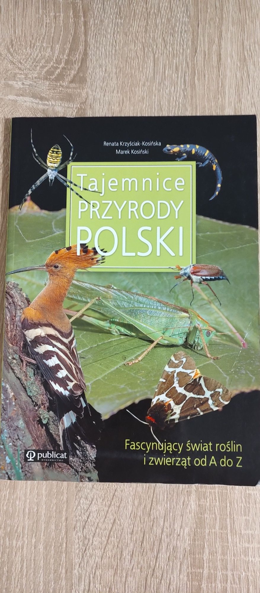 Tajemnice przyrody polski rośliny i zwierzęta