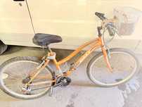 Bicicleta EMT Race Zante A1