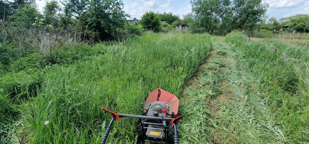 Koszenie trawy usługi ogrodowe Inowrocław i okolice