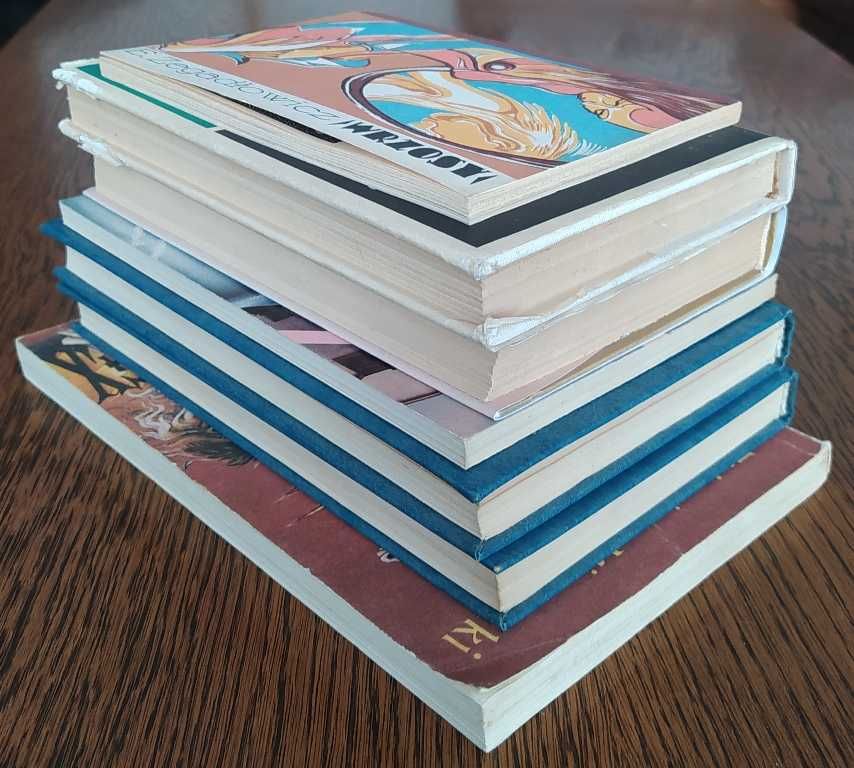 TANIA KSIĄŻKA  literatura polska Bratny Dąbrowska Sienkiewicz