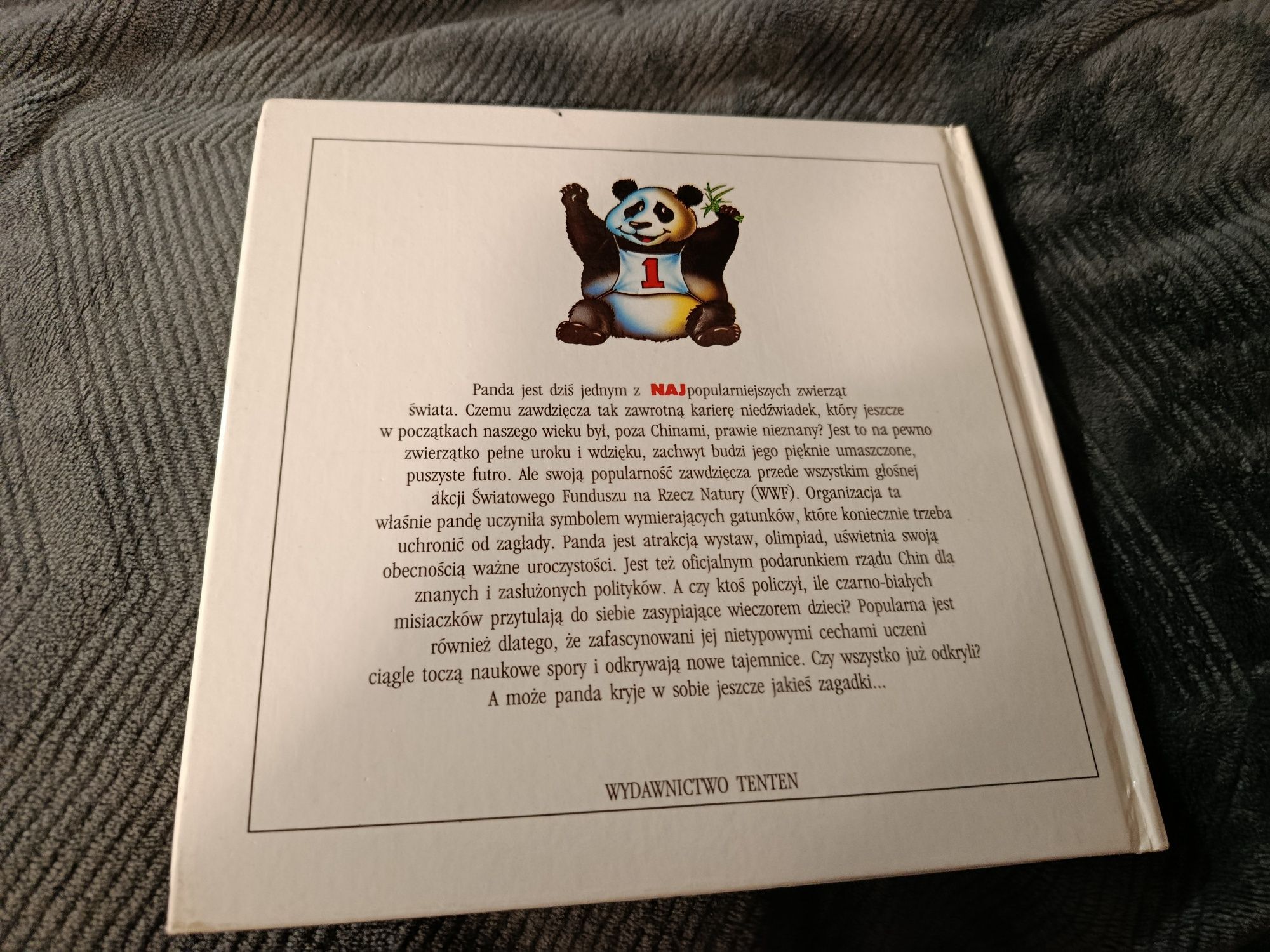 Panda zwierzęta świata