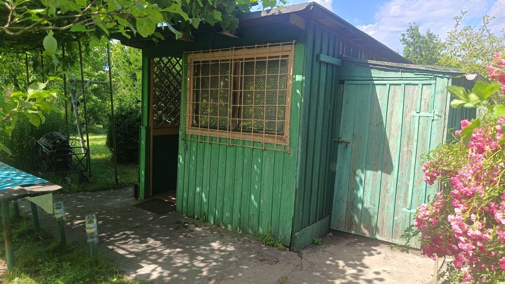 Dzialka ROD "DOLAM" ul. Mościckiego, Brochów, Wrocław
