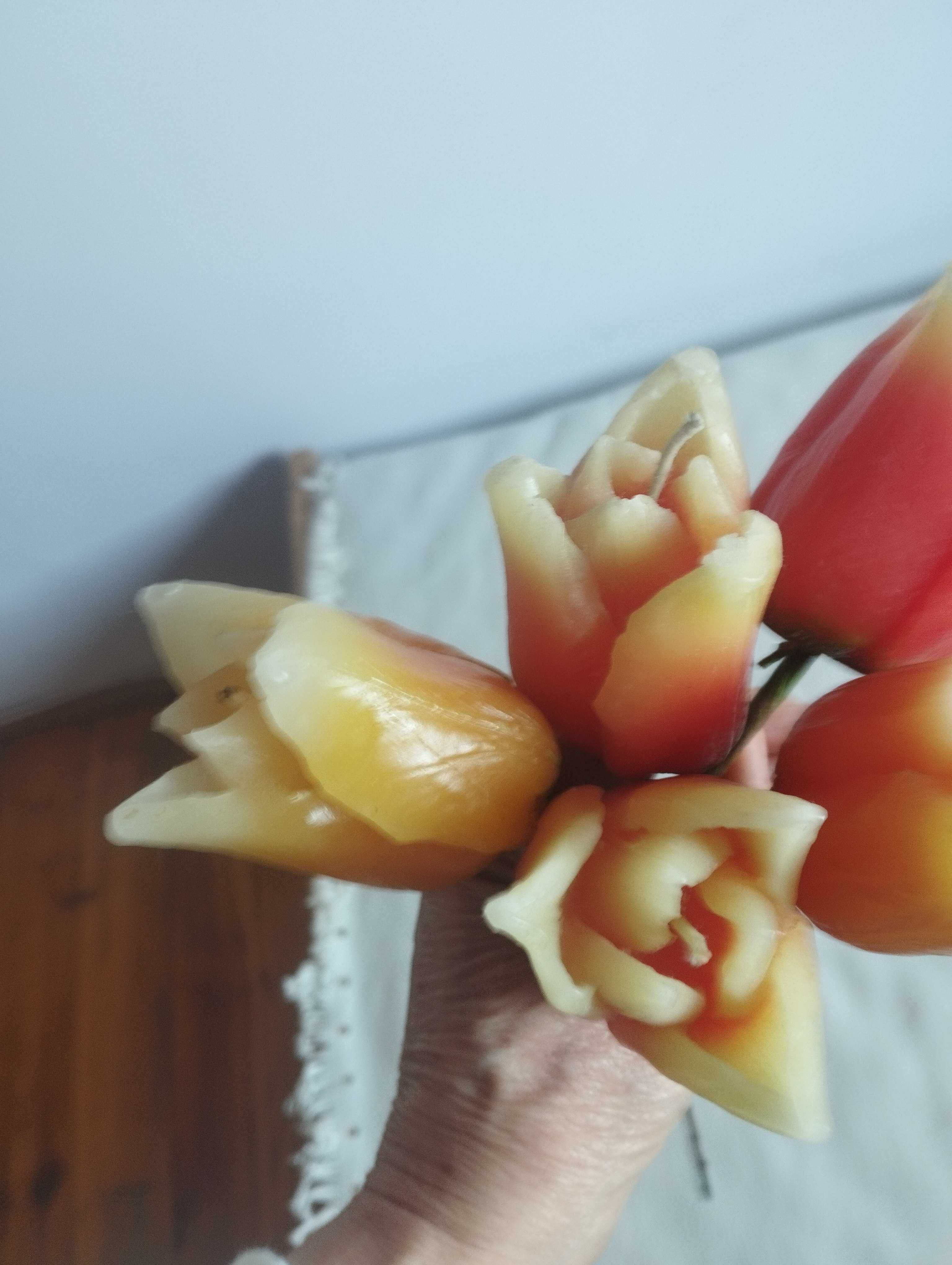 5 świec w kształcie tulipana