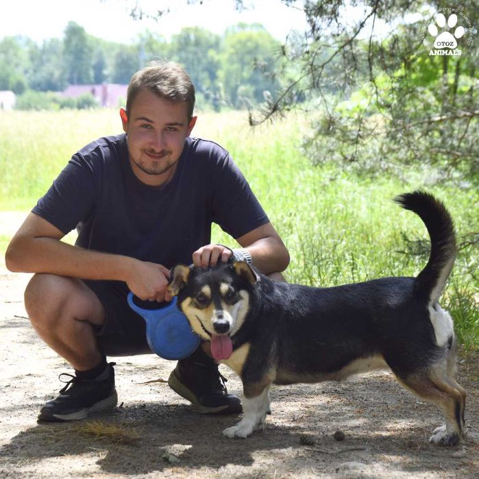 Cudowna Czarusia szuka domu!