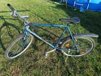 Rower CYCLE WOLF TUCANO koła 26"