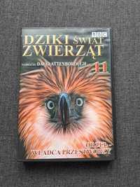 Płyta DVD Dziki świat zwierząt - orzeł