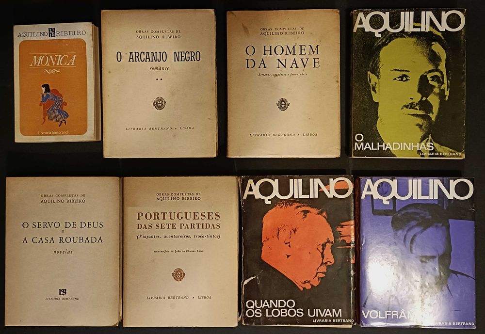30 livros. Literatura variada. Lote 180€.