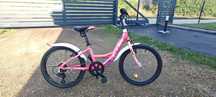 Rower CTM Ellie 20"