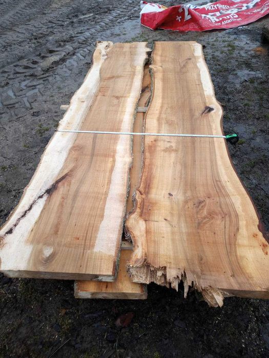 Tarcica dąb jesion wiąz olcha