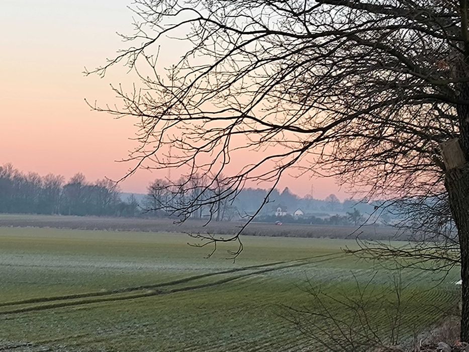 Wydzierżawię grunty rolne