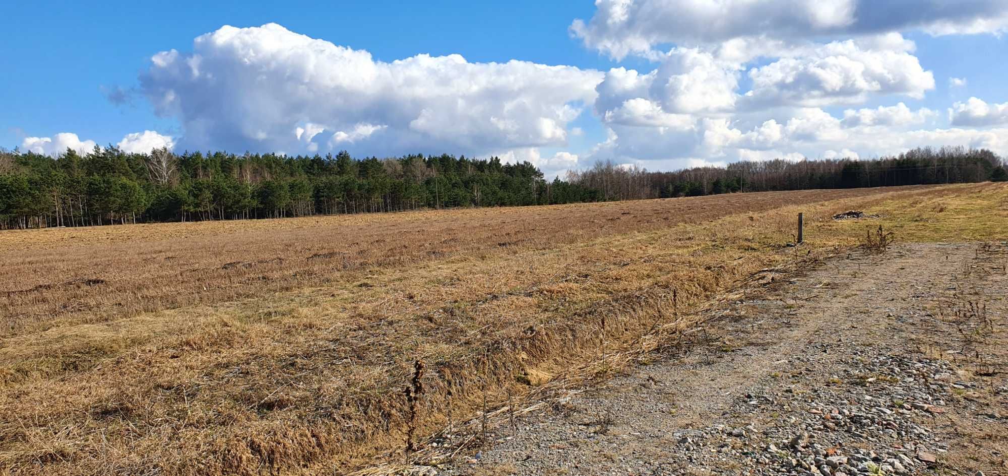 Działka budowlana Zagruszany przy powstającym już osiedlu.