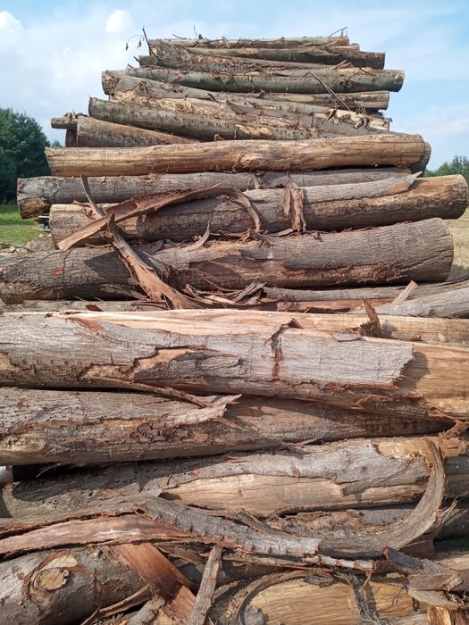Drewno Kominkowe i Opałowe Dąb, Buk, Brzoza, Jesion, Sosna, Osika