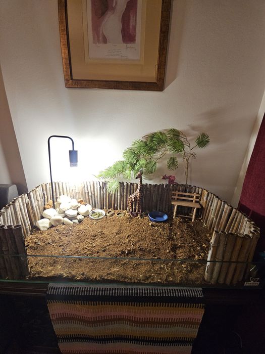 Terrario para animais