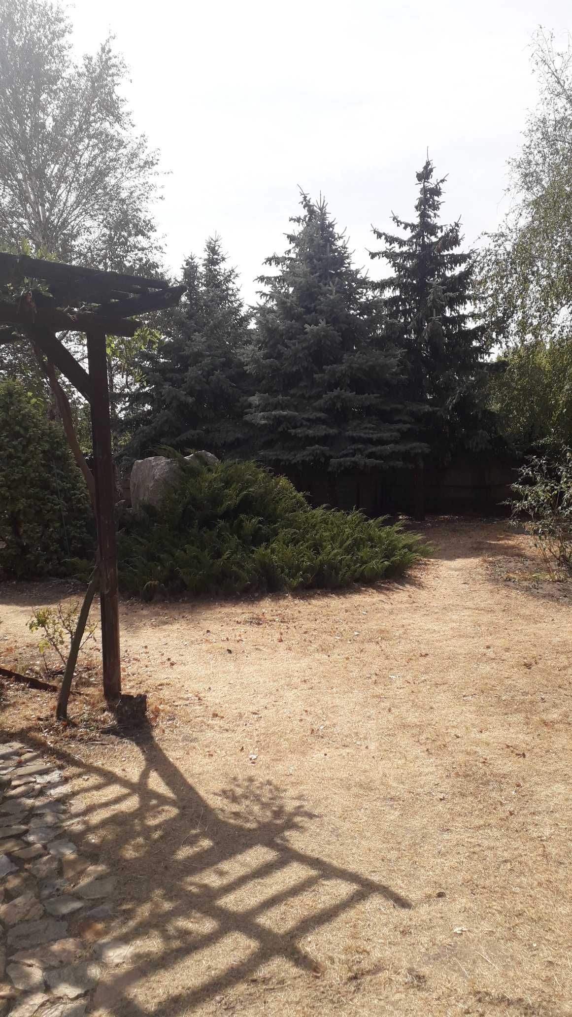 Здається альтанка в центрі міста