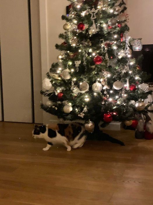 Choinka sztuczna 180cm + ozdoby