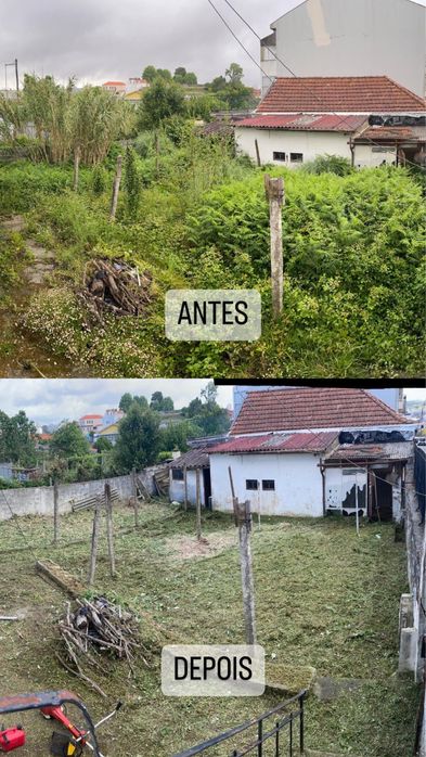 Limpeza de terrenos e manutenção de jardins
