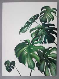 Obraz akrylowy Roślina Liście Monstera 73x54cm